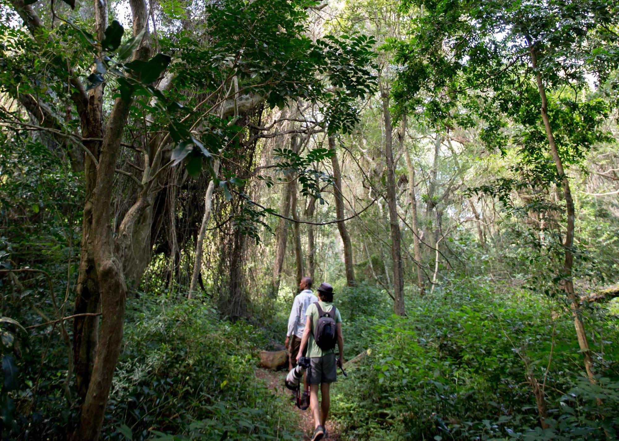 Royal Thonga Safari Lodge Sihangwane Εξωτερικό φωτογραφία