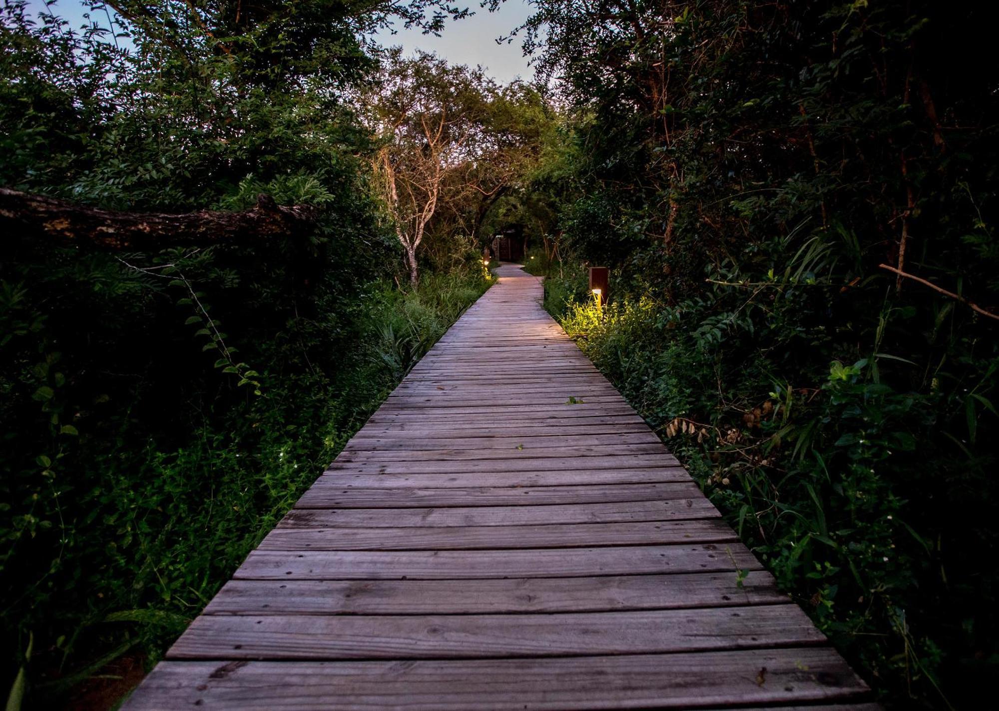 Royal Thonga Safari Lodge Sihangwane Εξωτερικό φωτογραφία
