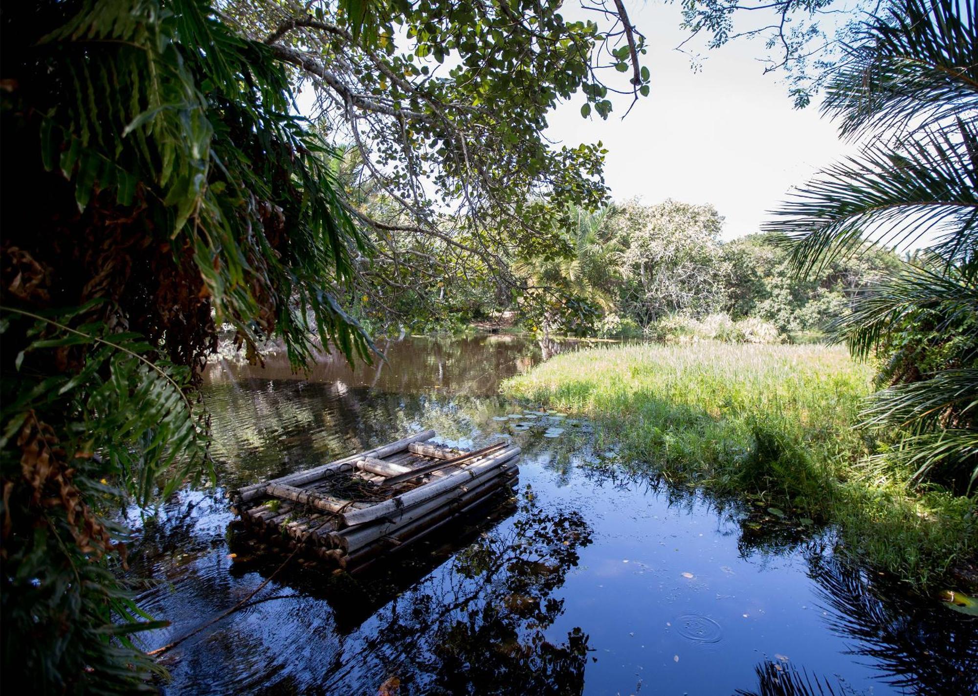 Royal Thonga Safari Lodge Sihangwane Εξωτερικό φωτογραφία