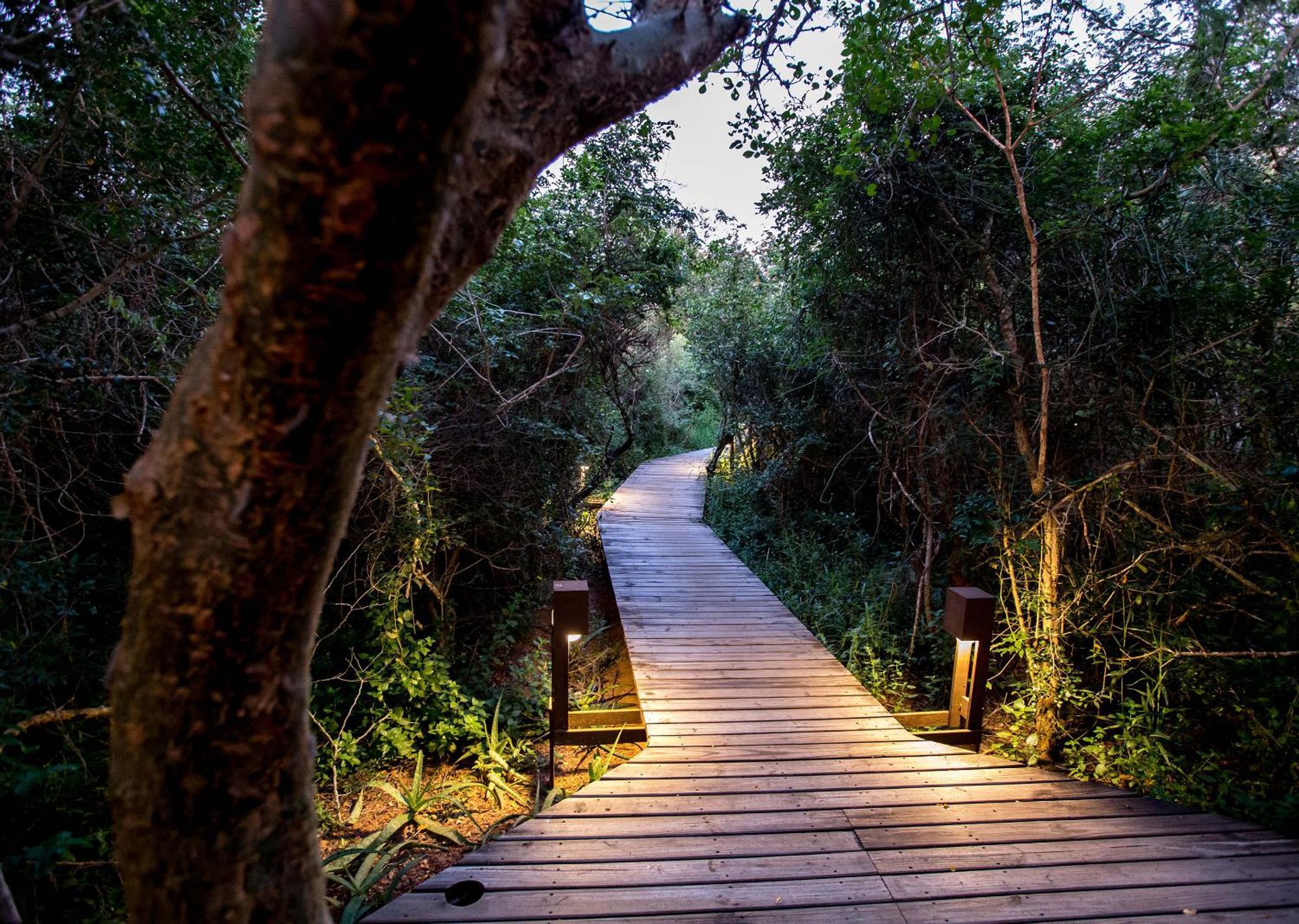 Royal Thonga Safari Lodge Sihangwane Εξωτερικό φωτογραφία