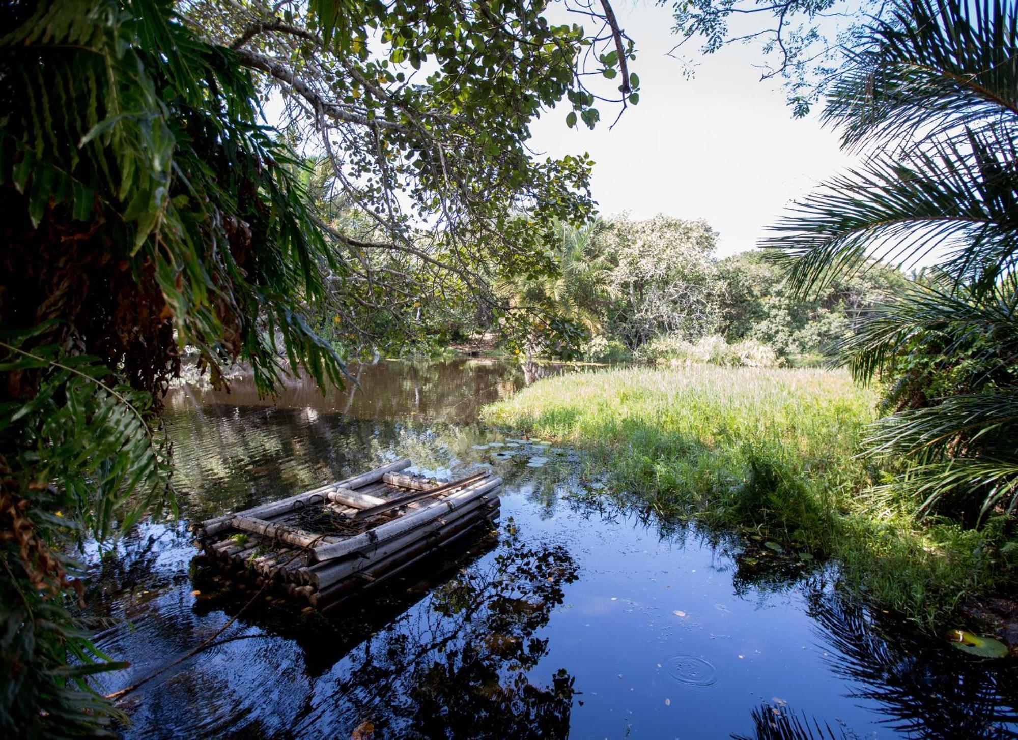 Royal Thonga Safari Lodge Sihangwane Εξωτερικό φωτογραφία